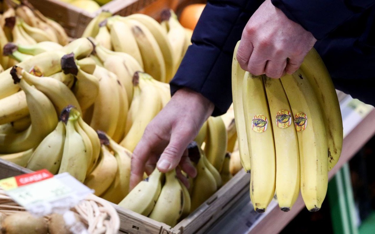 “Це ж не мільйони вкрав,як наші “вєлікіє”а за банани треба справедливо покарати”: Українець вкрав банани в кіоску та отримав 6 років позбавлення волі: деталі інциденту