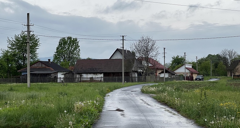 Іди до своєї мами і там поїж. Ти ж туди нескінченно гроші висилаєш, так от нехай вона і годує тебе, — крізь зуби зашипіла дружина