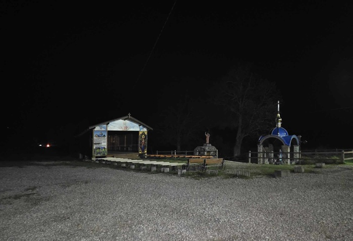 Вартість як «річний бюджет маленької країни»! Я проти такої покупки. Це дурість, марення! — обурювалася Олена, поки чоловік відраховував готівку. Навіщо твоїй матері цей золотий пес