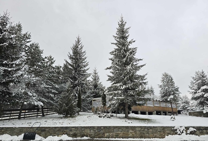 Олена онімілими пальцями притримувала аркуш паперу і вчитувалася щоразу в літери, що стрибали перед очима. Мати подала на аліменти! Так як так… Та як таке можливо